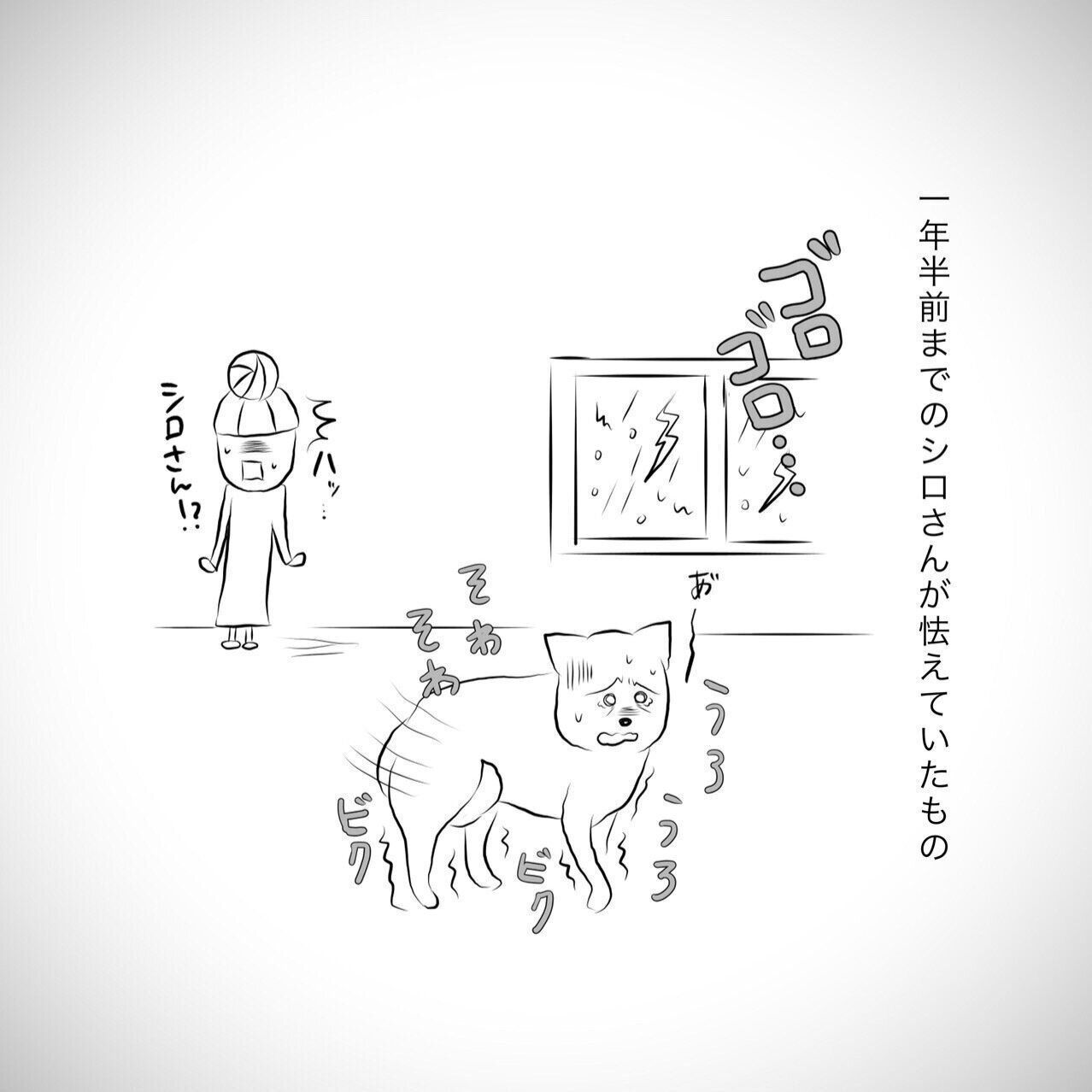 雷にガクブルだったおばあちゃん犬 心配で急いで帰宅すると 連載 おばあちゃん犬がやってきた第回 いぬのきもちweb Magazine