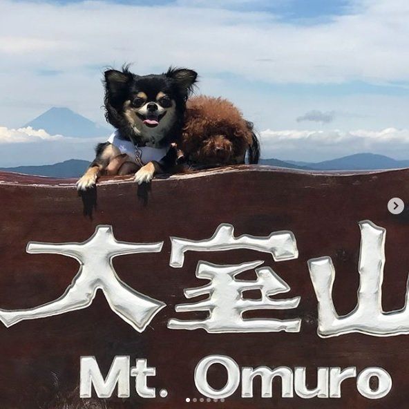 大室山山頂で富士山をバックに記念写真