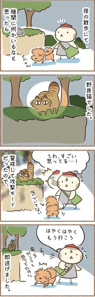 連載「こぐま犬てんすけ」