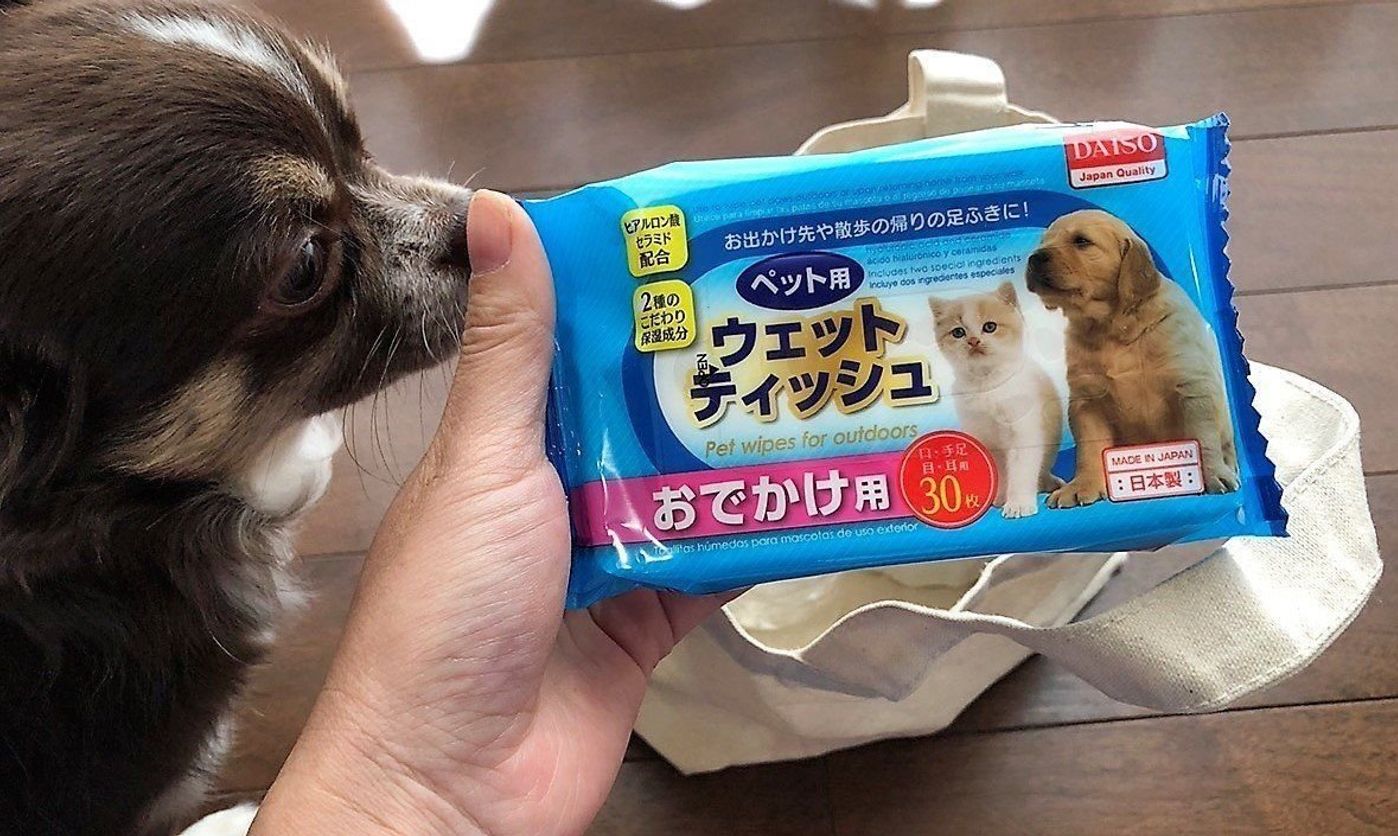 ダイソーの ペット用ウェットティッシュ お出かけ用 体験レポ いぬのきもちweb Magazine ダイソーの ペット用ウェットティッシュ お出かけ用 体験レポ いぬのきもちweb Magazine