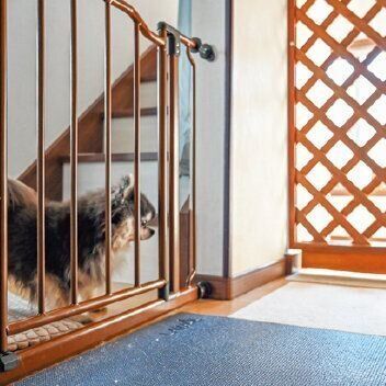 リビングから階段に通じる出入り口には、清永さんの夫が手作りした脱走防止扉を設置