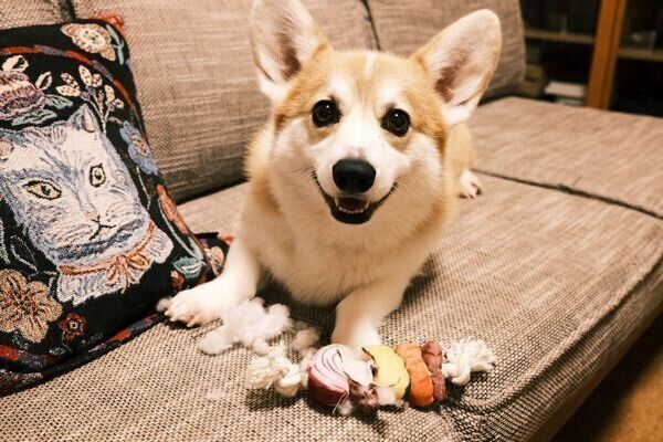 笑顔を見せるガブちゃん