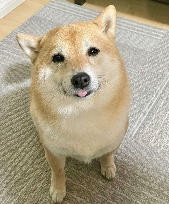 見つめるこじろうくん