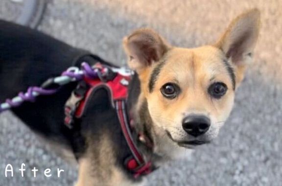 見つめるこのちゃん