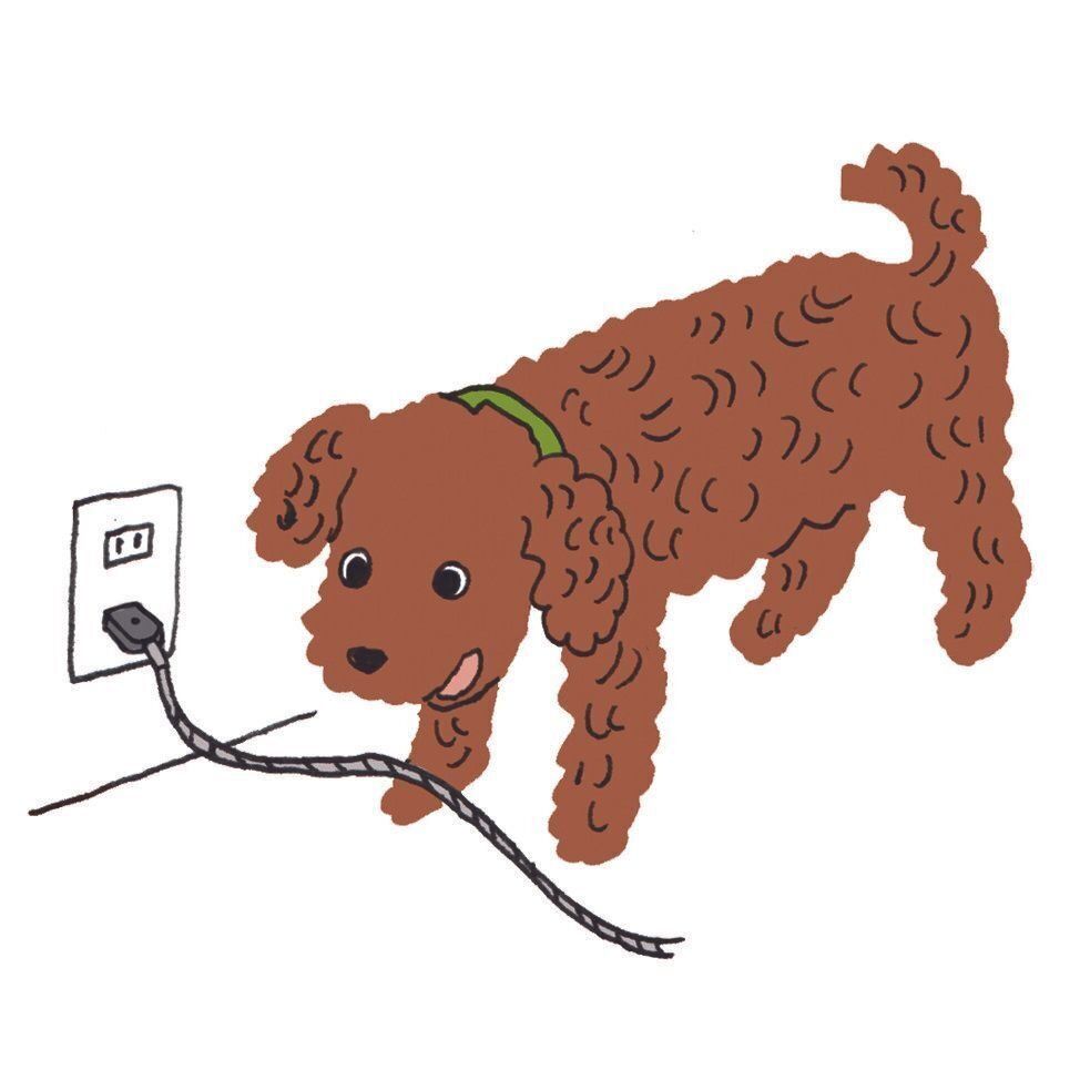 イラスト／大塚砂織