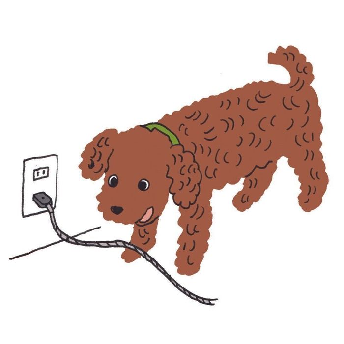 イラスト/大塚砂織