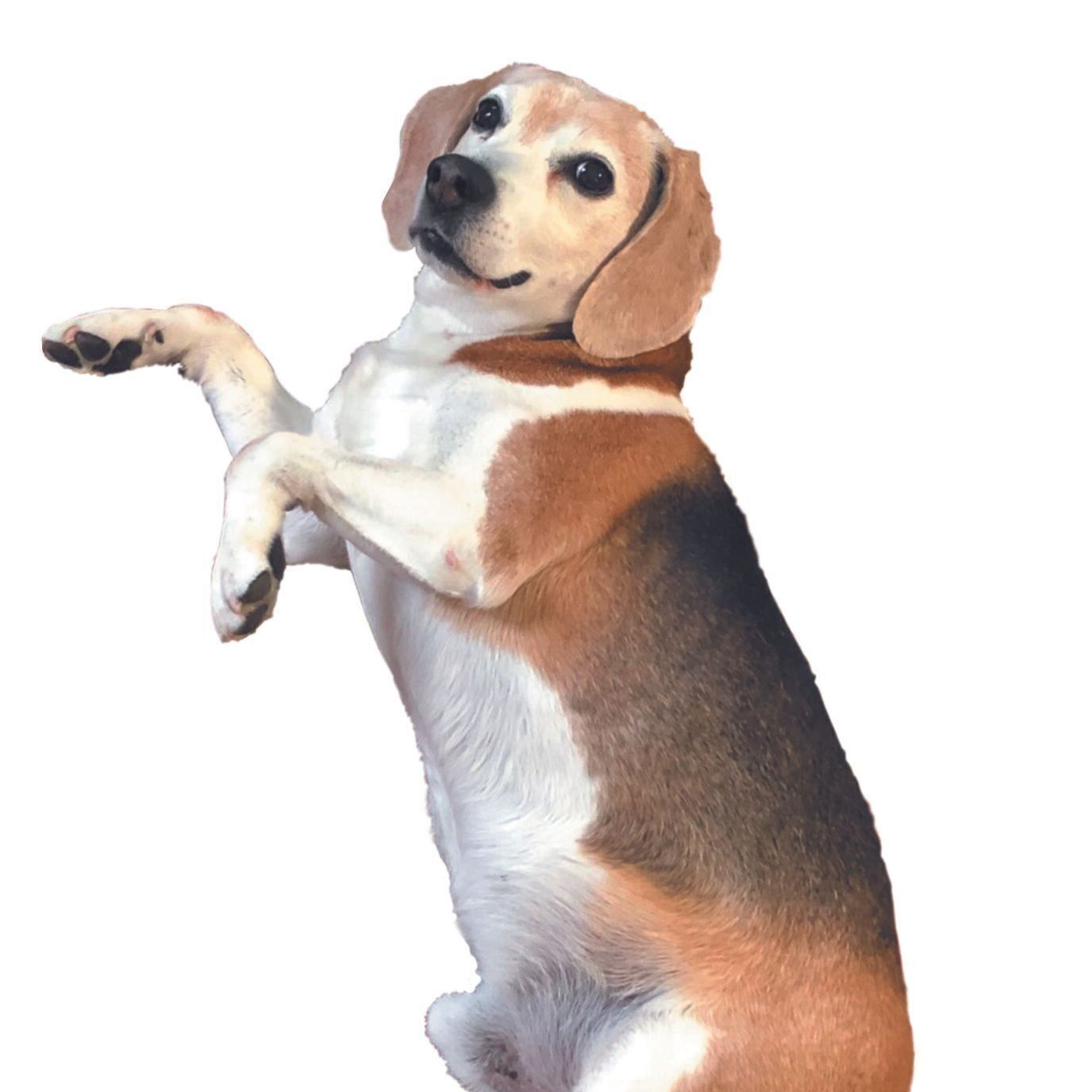 17才とは思えない若々しさ！