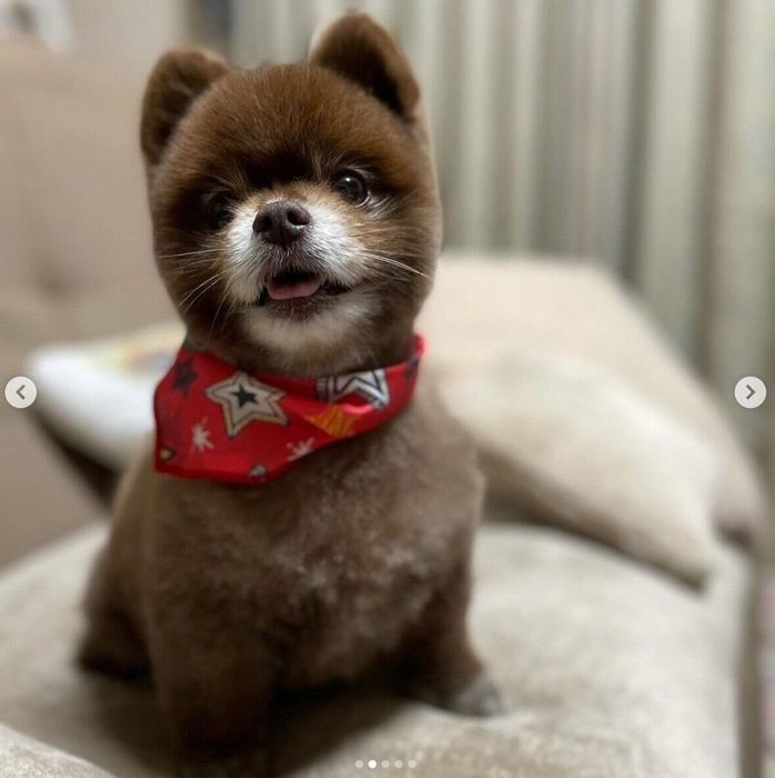 笑顔が可愛いあんこちゃん