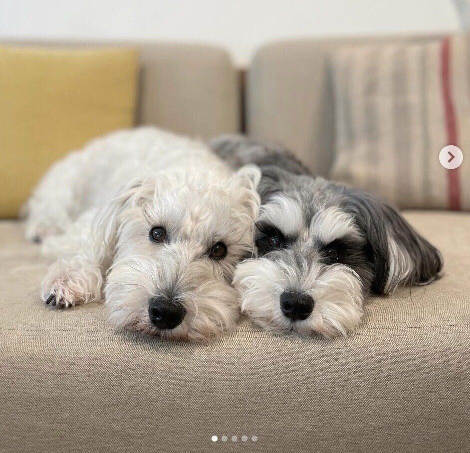 ピタッとくっつくバンデくん、なぎちゃん