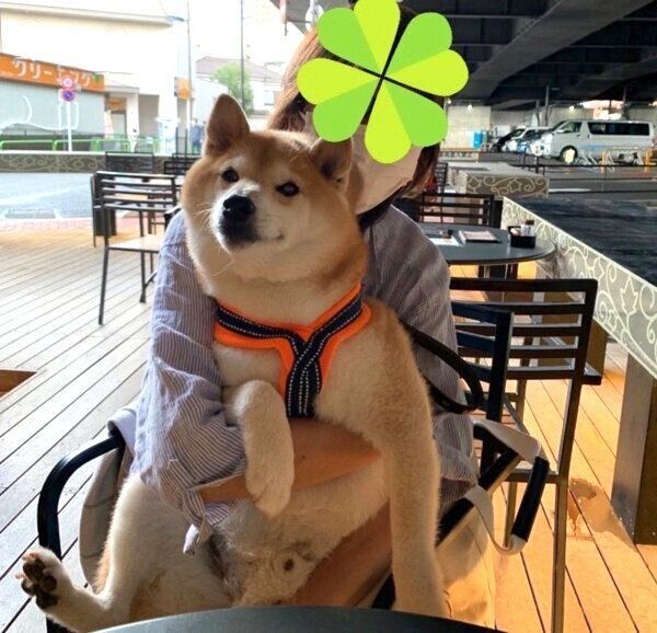 抱っこされるまぁくん