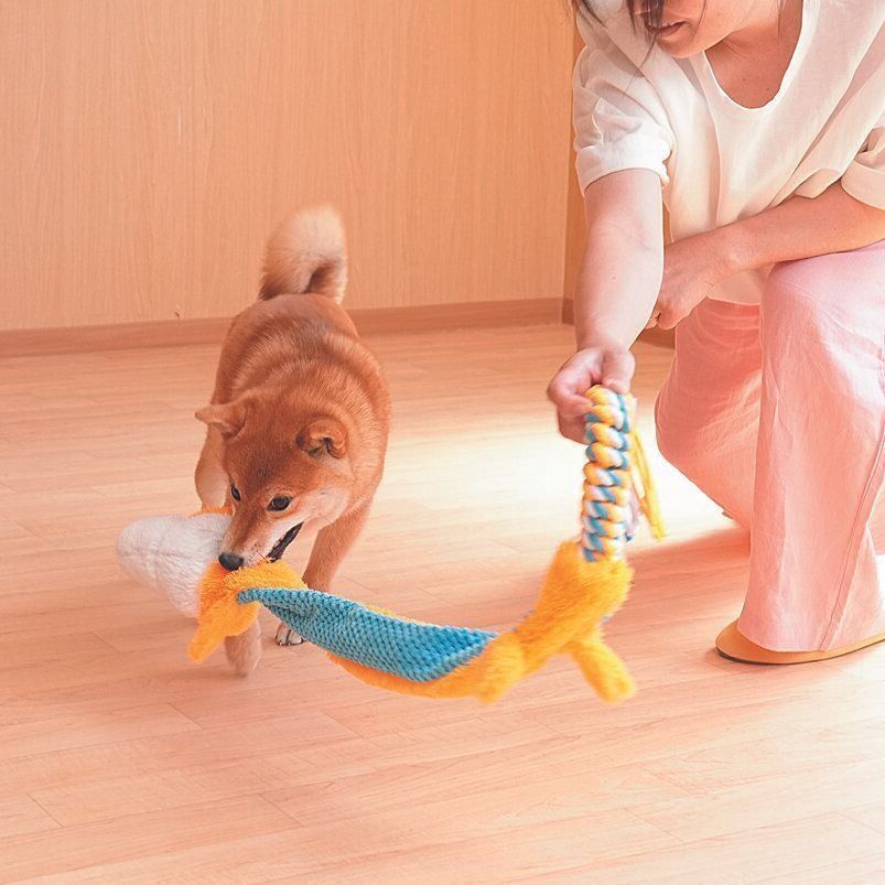 撮影／殿村忠博