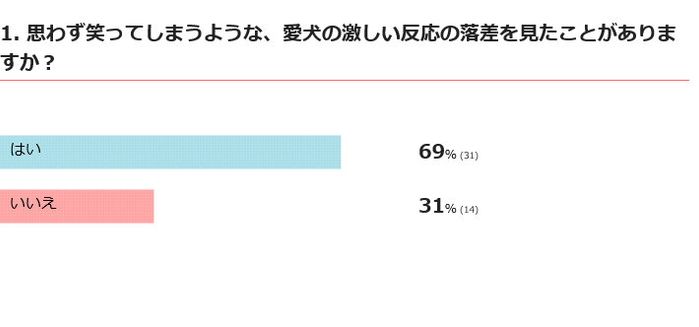 愛犬は激しい反応の落差を見せる?