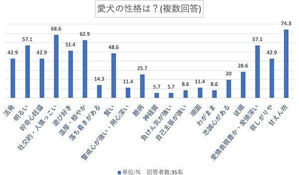 愛犬の性格は?