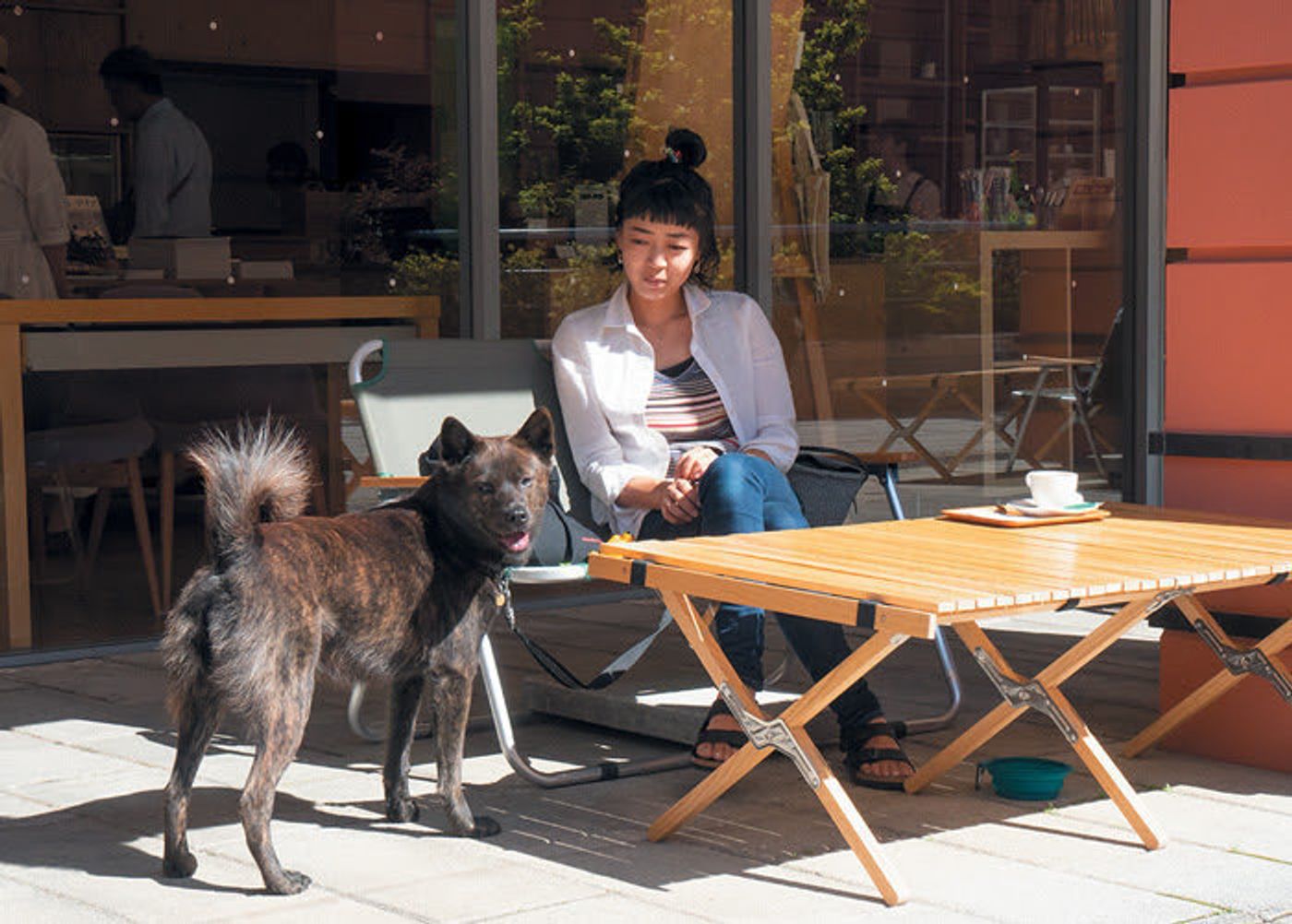 愛犬も大切な ゲスト 星野リゾートの犬と泊まれる宿とは いぬのきもちweb Magazine 愛犬も大切な ゲスト 星野リゾートの犬と泊まれる宿とは いぬのきもちweb Magazine