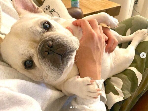 飼い主さんに甘えるひまわりちゃん