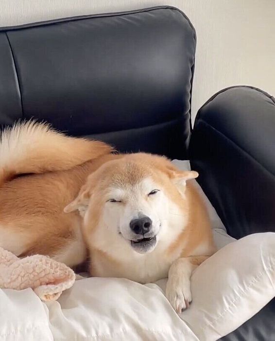 笑顔がとても素敵なはるちゃん