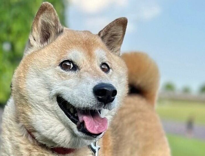 笑顔のぱんくん