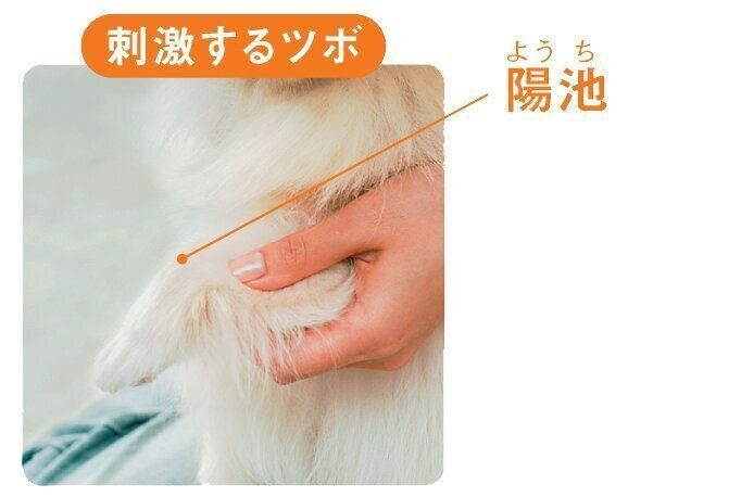 体を温めストレスを緩和するツボマッサージ