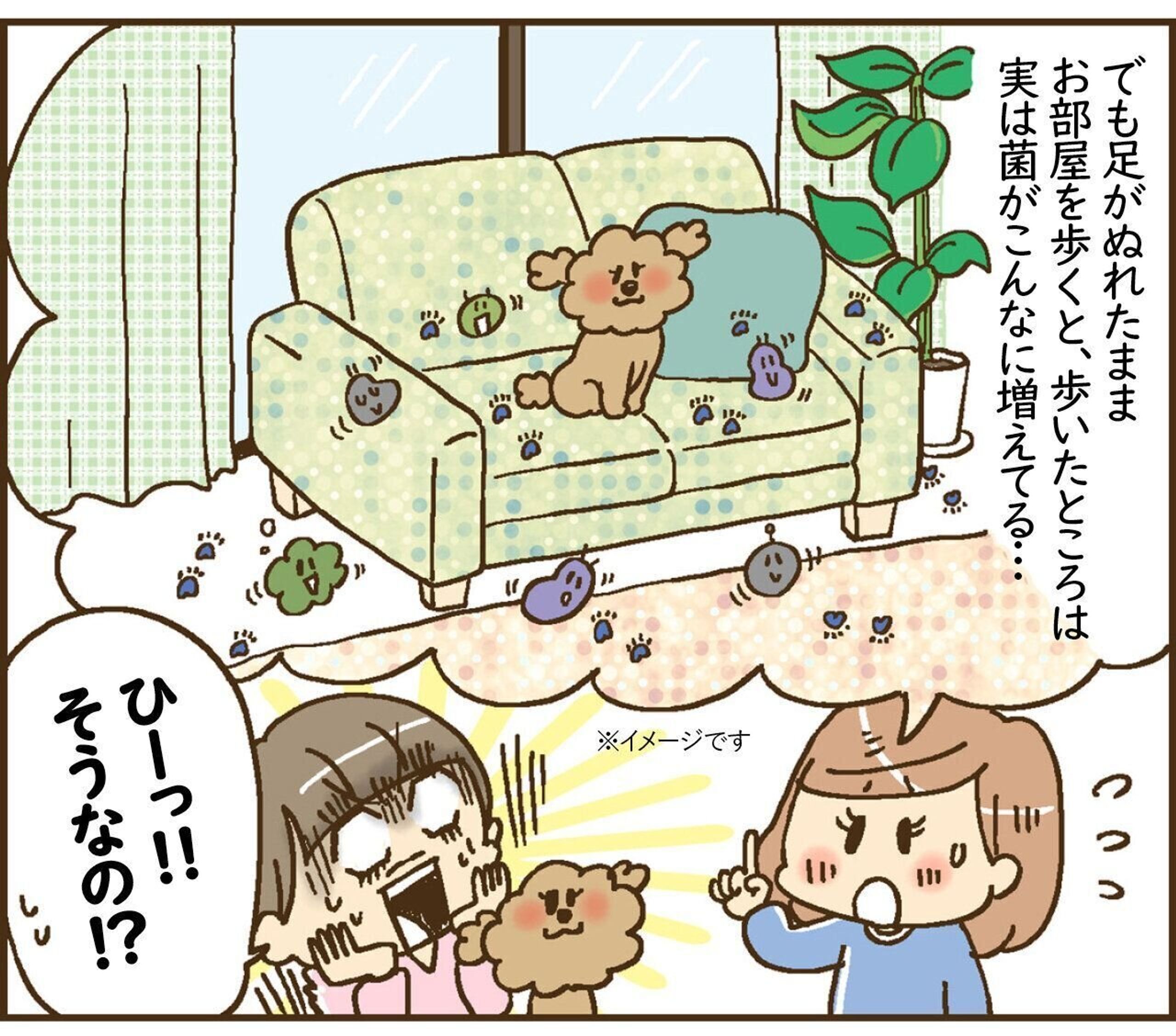 Pr 最後にプレゼントも オシッコで濡れたままの足は菌がいっぱい 対策方法を漫画で紹介 いぬのきもちweb Magazine Pr 最後にプレゼントも オシッコで濡れたままの足は菌がいっぱい 対策方法を漫画で紹介 いぬのきもちweb Magazine