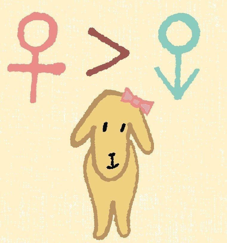 イラスト／谷山彩子