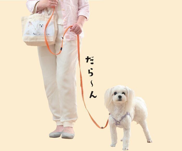 肩の力を抜いて手を下ろし、リードをたるませて歩く