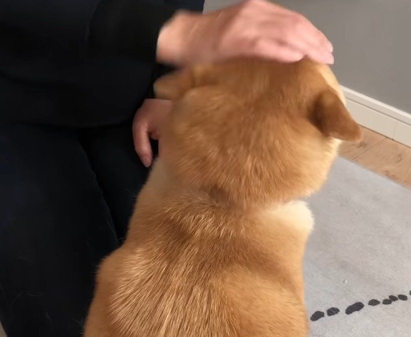 こてつとばあちゃん