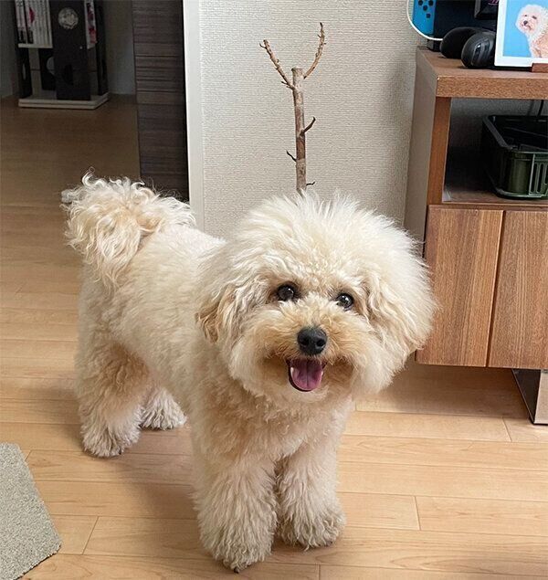 笑顔のポテチくん