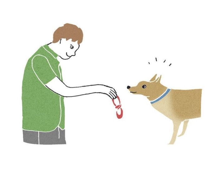 イラスト/iso sayaka