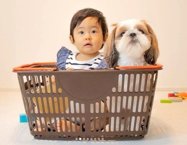 寄り添うシー・ズーと女の子