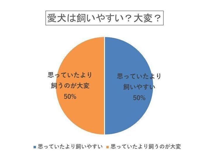 愛犬は飼いやすい?大変?