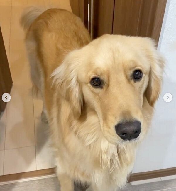 「寝よう」とアピールするLUKEくん