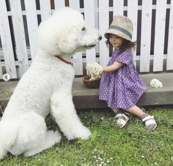 仲良しなスタンダード・プードルと女の子