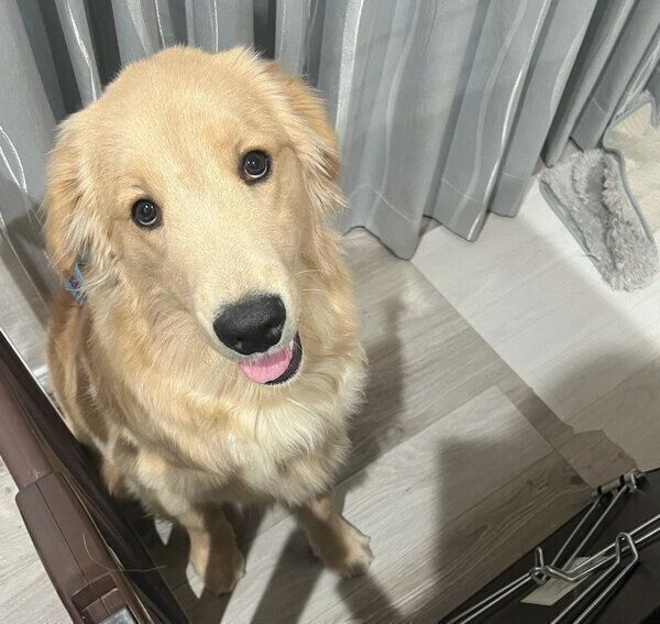 見つめるそらくん