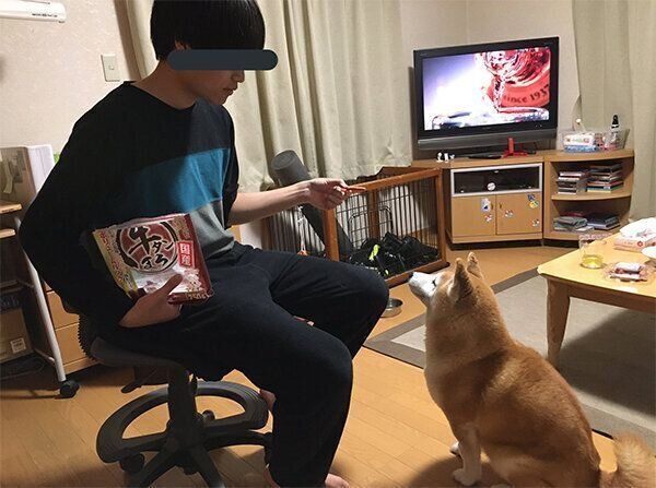 お兄ちゃんとロペさん