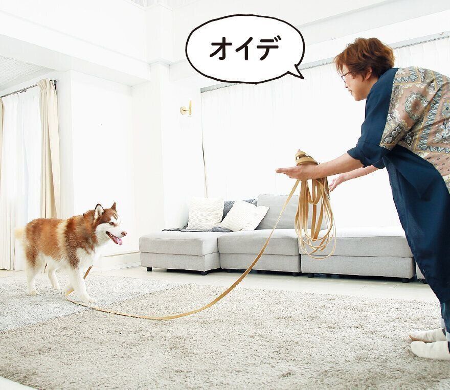 撮影／尾﨑たまき