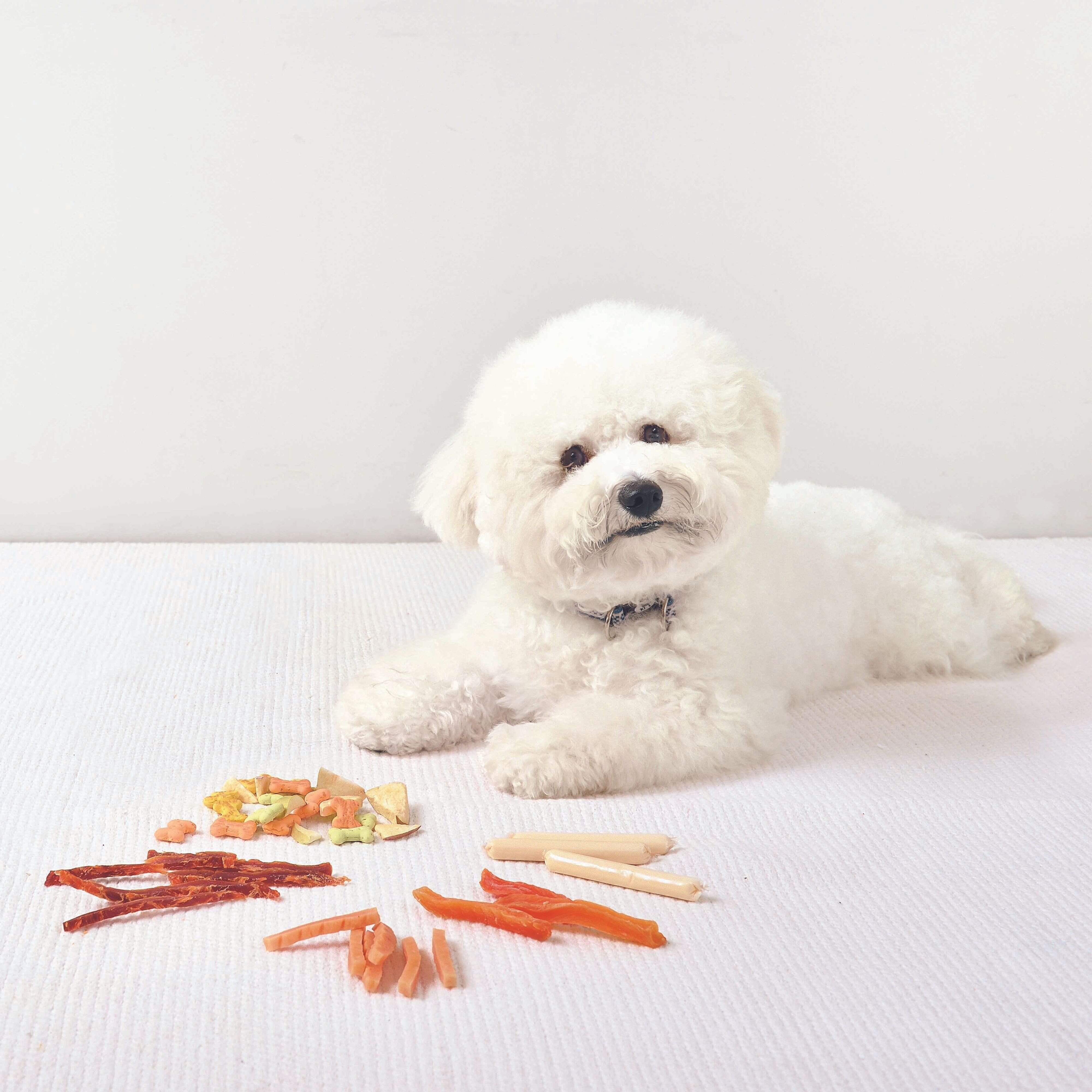 撮影／佐藤正之