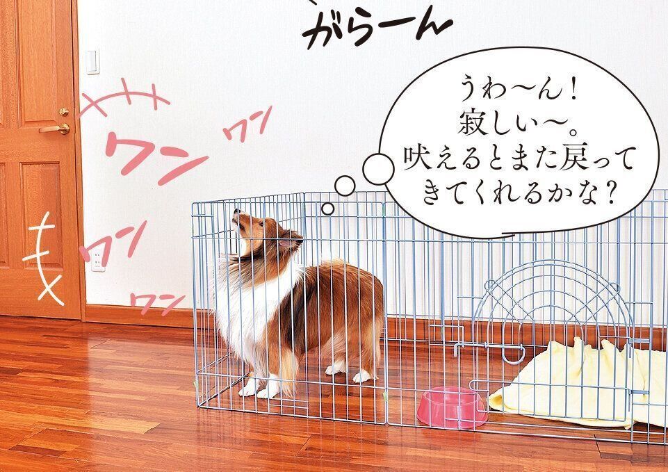 撮影／佐藤正之