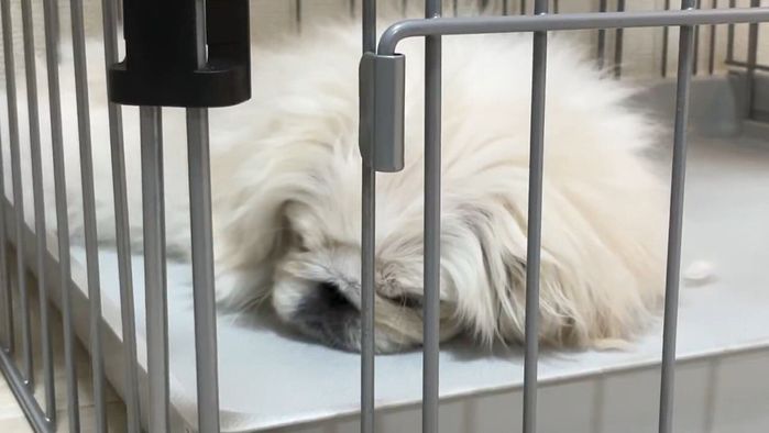 4カ月のてんまるくん