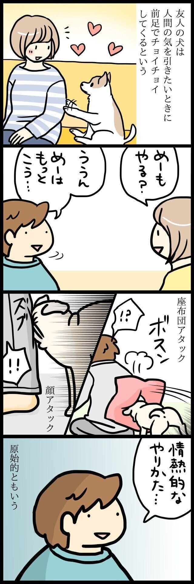 【連載】パグ犬・めー