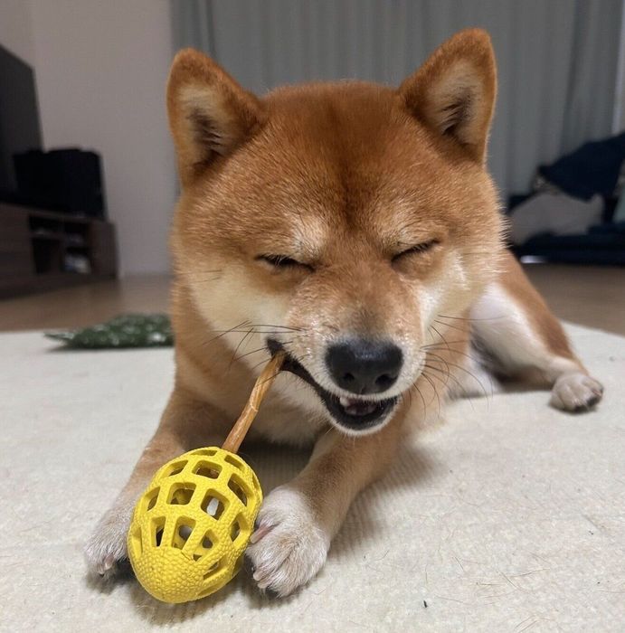 おやつを食べるたわしくん