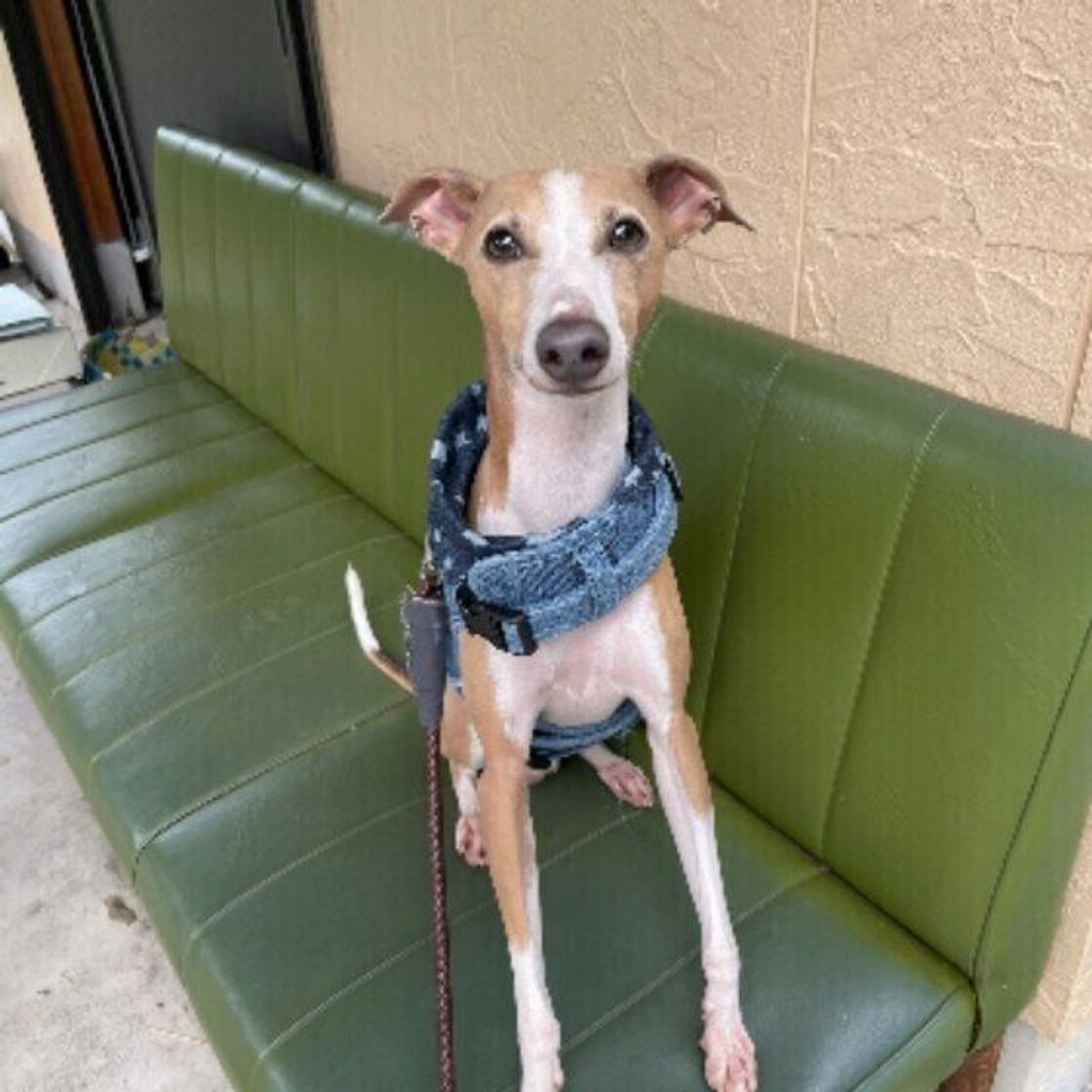 4rfkil45xqjnbm 4rfkil45xqjnbm