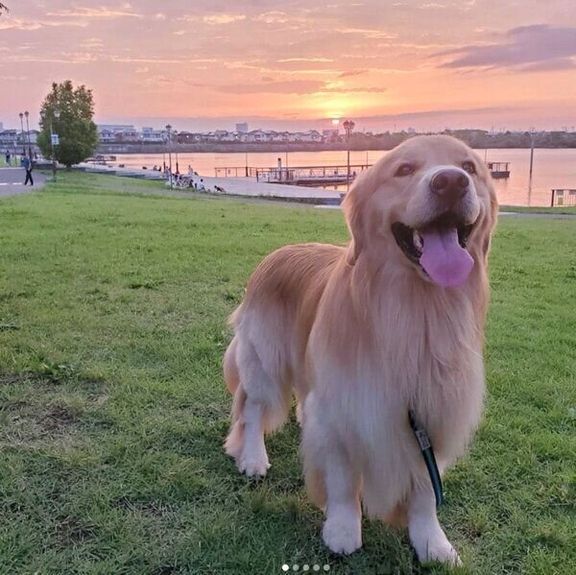 微笑むアランくん