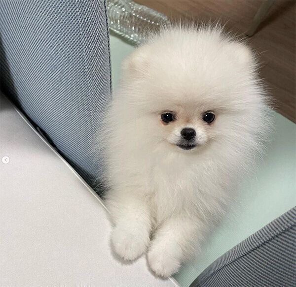 見つめるむうちゃん