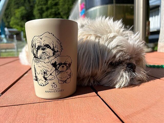 シーズー犬マンガてんぽshihtzu