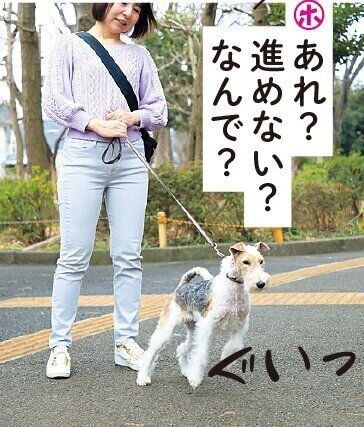 撮影／尾﨑たまき