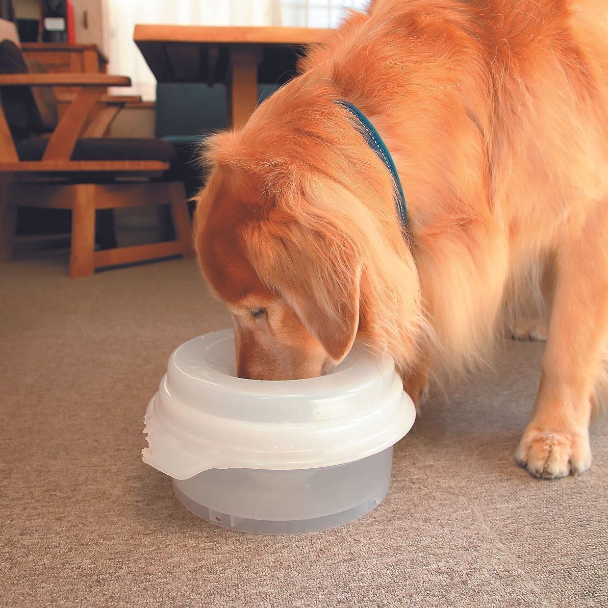 水入れは海外からお取り寄せ