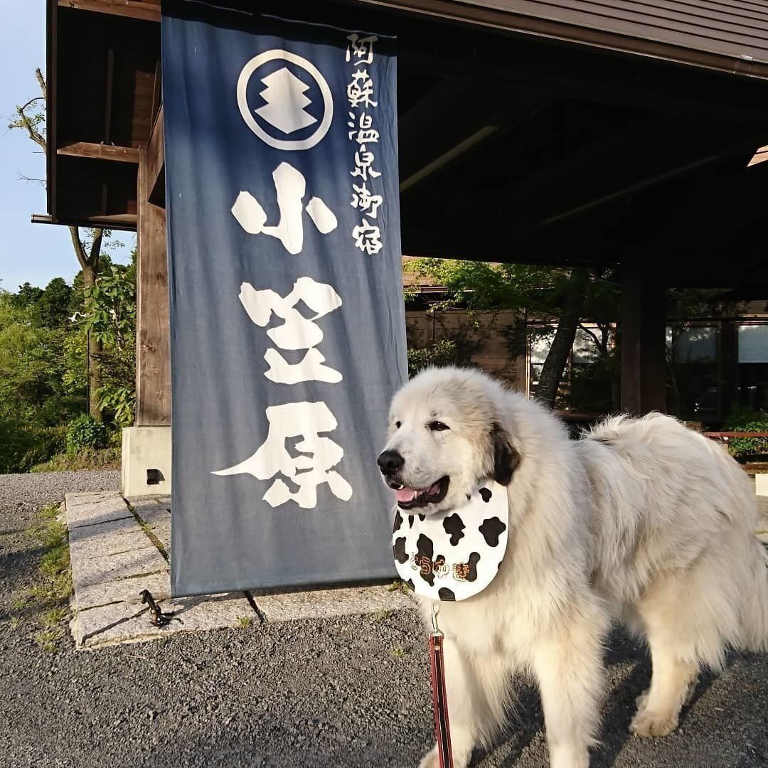 温泉の入り口での1枚、虎之