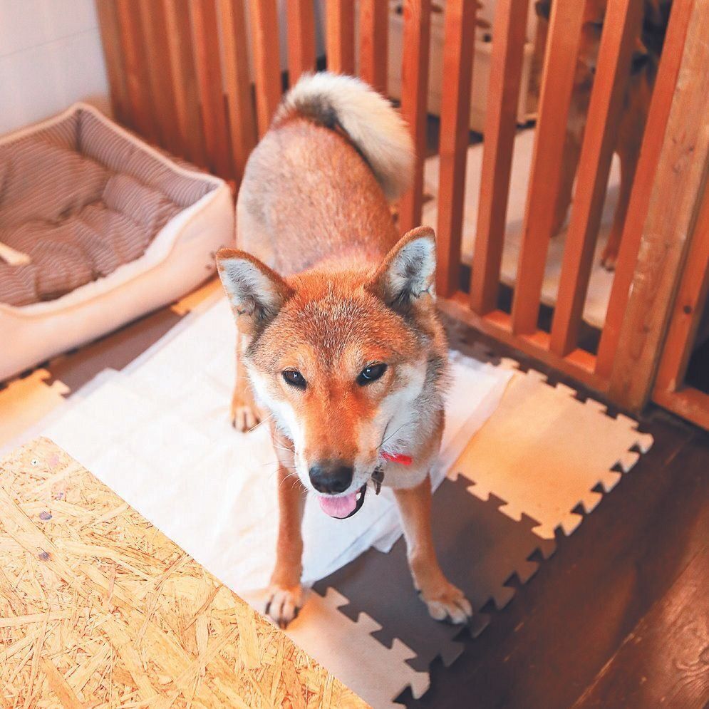 撮影／尾﨑たまき