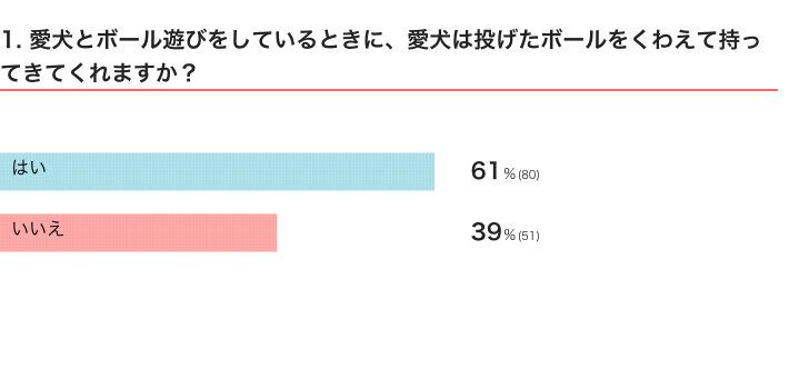 ボール遊び をしたときの犬の反応 くわえて持ってきてくれるコに見られる特徴は 獣医師解説 いぬのきもちweb Magazine