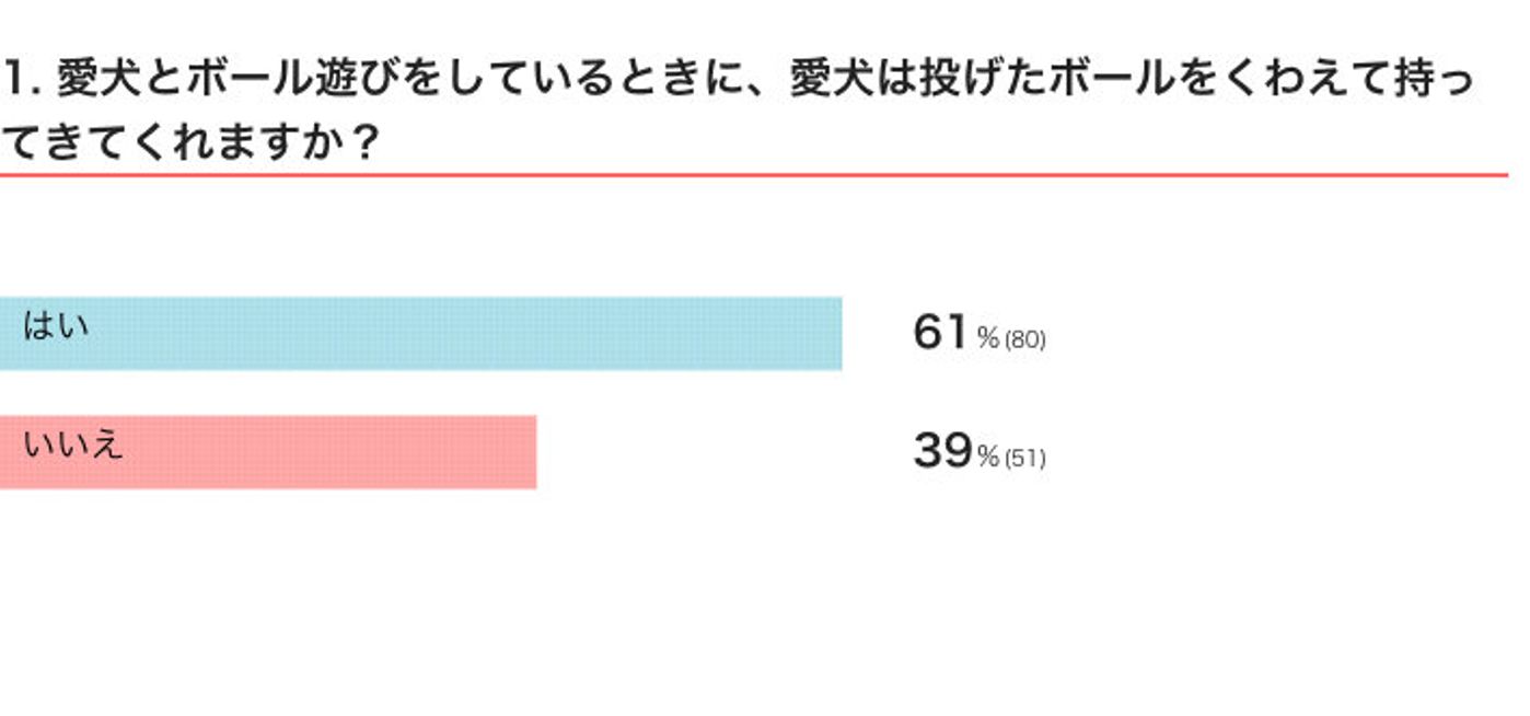 ボール遊び をしたときの犬の反応 くわえて持ってきてくれるコに見られる特徴は 獣医師解説 いぬのきもちweb Magazine ボール遊び をしたときの犬の反応 くわえて持ってきてくれるコに見られる特徴は 獣医師解説 いぬのきもちweb Magazine